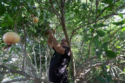 030923_GAZA_OSH_00 (29).jpg