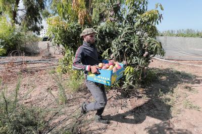 020923_GAZA_AD_00 (13).JPG