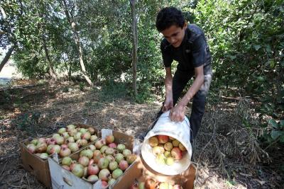 030923_GAZA_OSH_00 (32).jpg