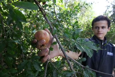 030923_GAZA_OSH_00 (22).jpg