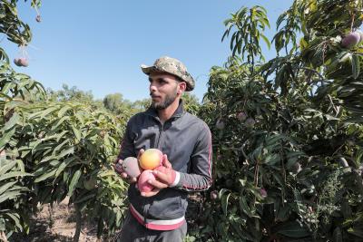 020923_GAZA_AD_00 (10).JPG