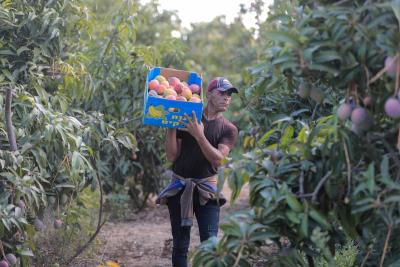 020923_GAZA_AD_00 (28).jpg