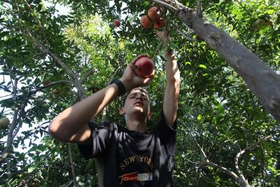 030923_GAZA_OSH_00 (26).jpg