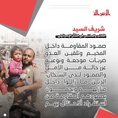 photo_2024-11-04_12-16-40 (2).jpg