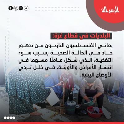 photo_2024-12-09_13-34-40 (3).jpg