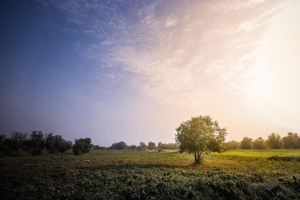 أجواء مدينة غزة (تصوير: خالد طعيمة)