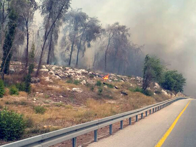 صورة توضيحية