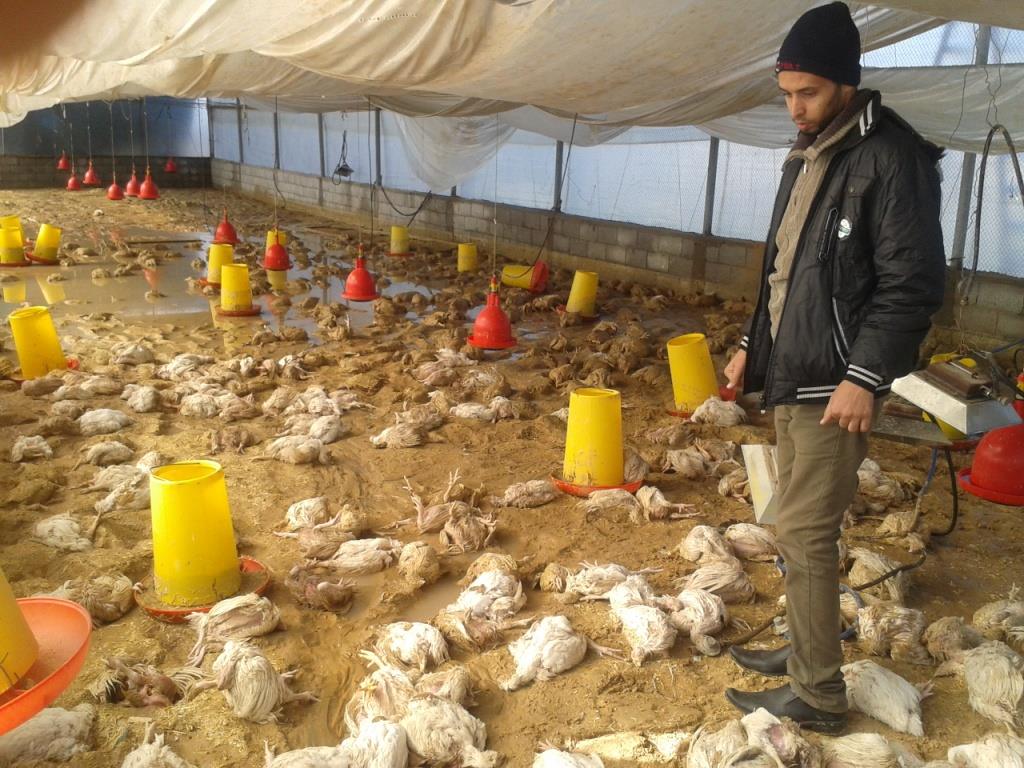 صورة أرشيفية