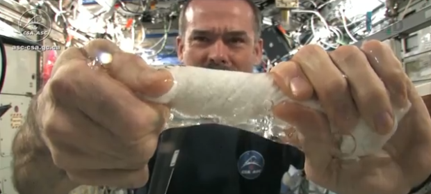 صورة من الفيديو