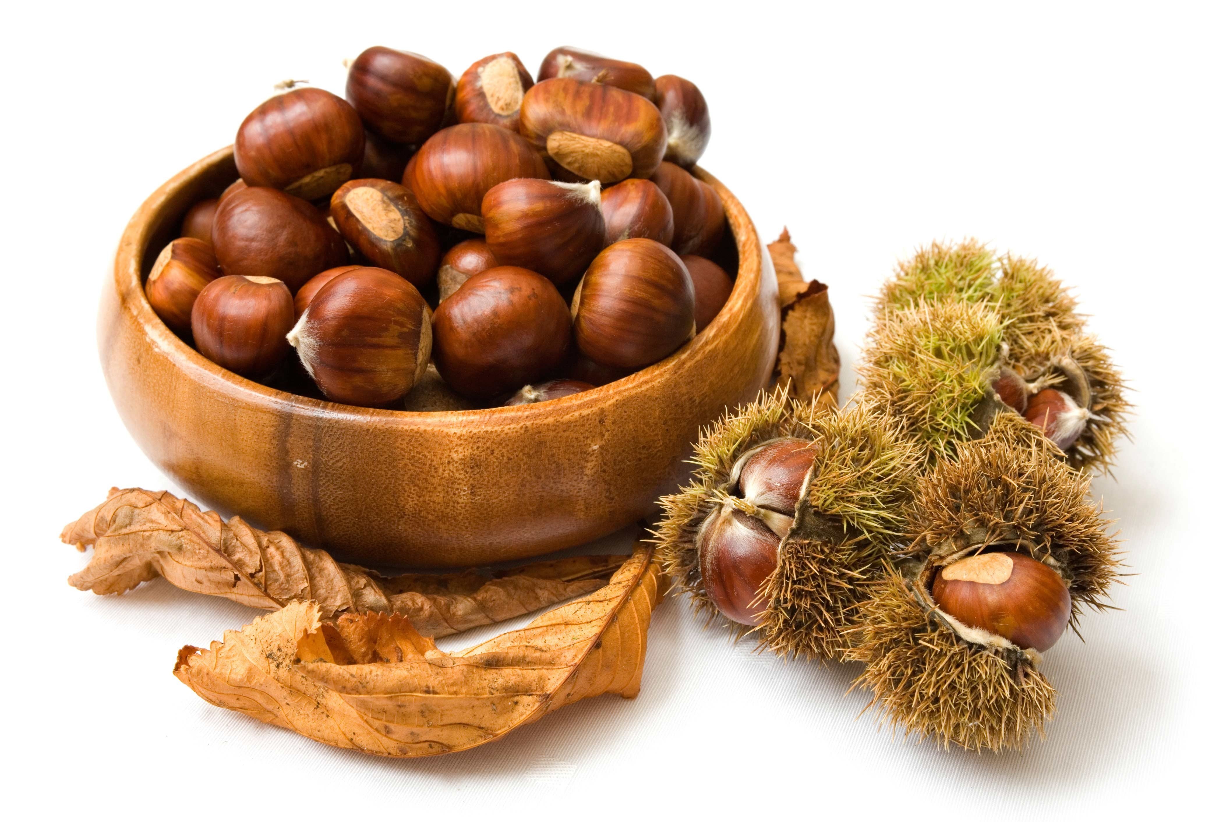 6311_Autumn-fruits-vitamins-delicious-chestnuts