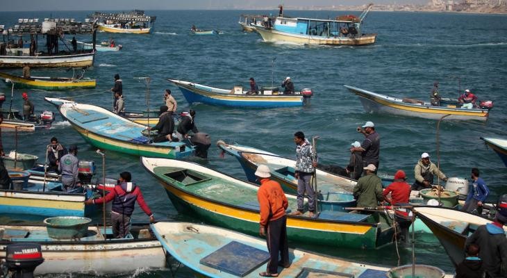 "الزراعة" تنظّم تصدير الأسماك والصيادون يطالبون بزيادة الكميات المصدرة