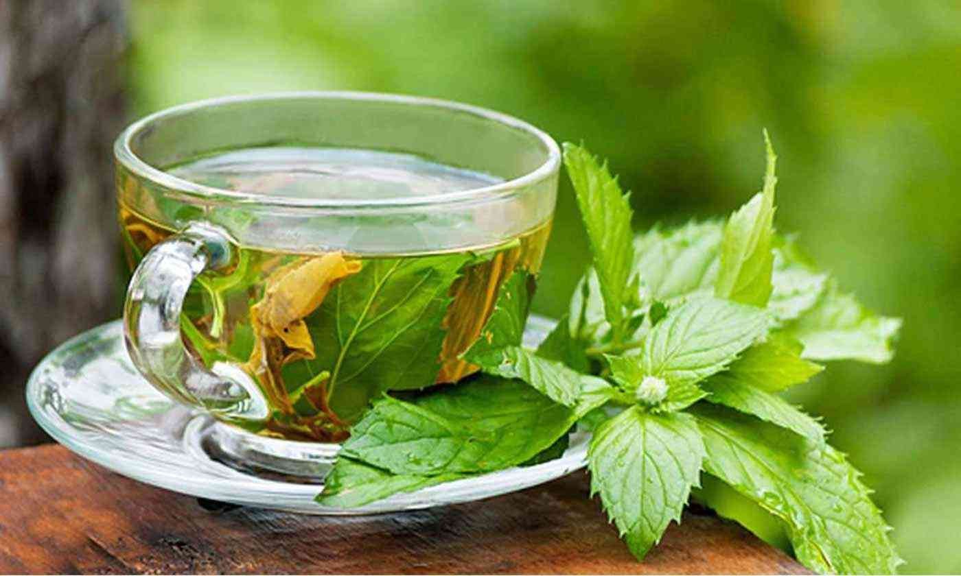 لإكمال رشاقتك عليك بالشاي الأخضر.. تعرف على الطريقة الصحيحة