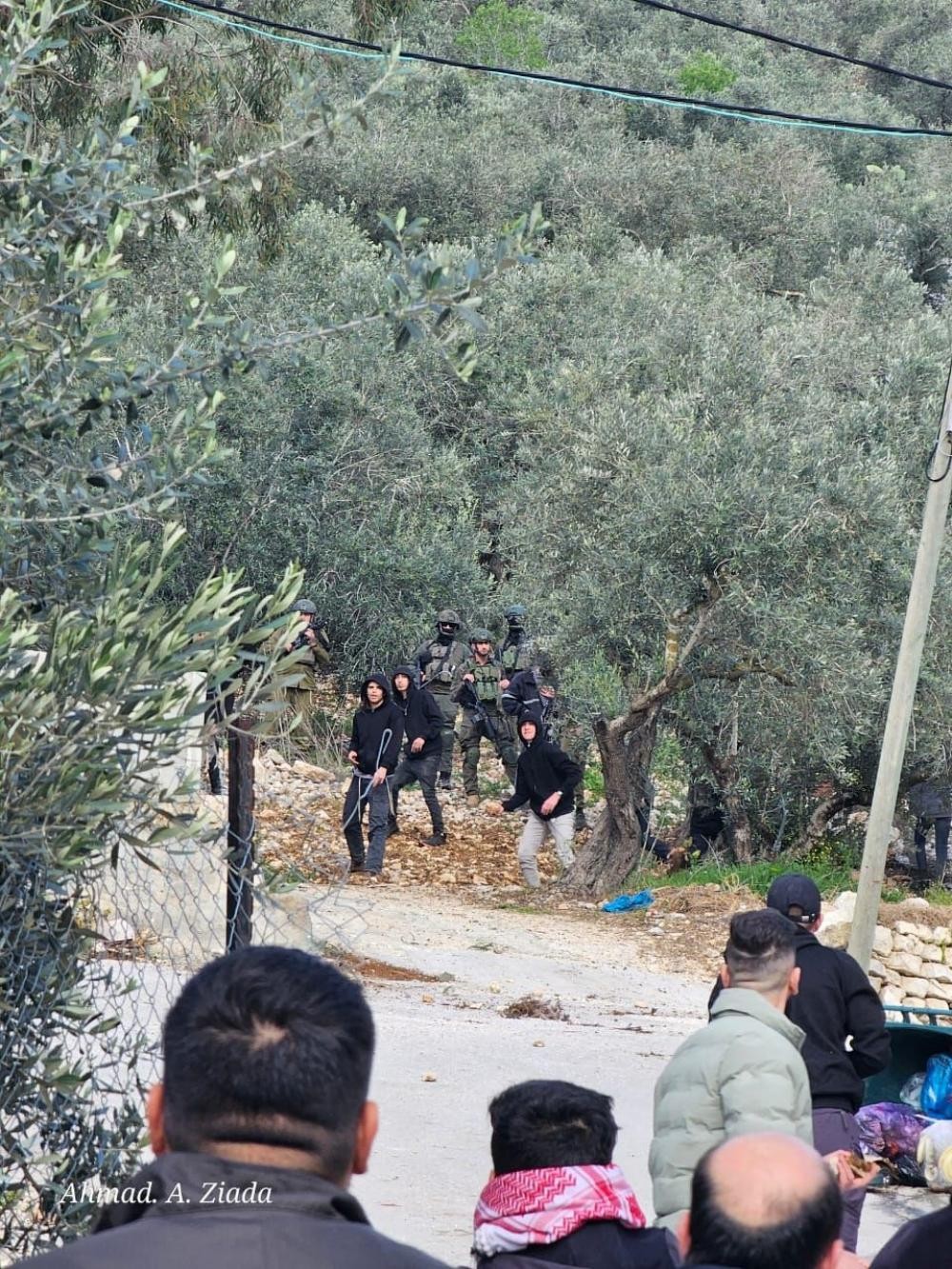 16 إصابة في هجوم للمستوطنين على برية المنية شرق بيت لحم