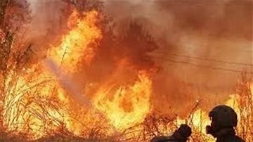 إخلاء مستوطنات وإغلاق طرق رئيسية بسبب حرائق ضخمة في القدس