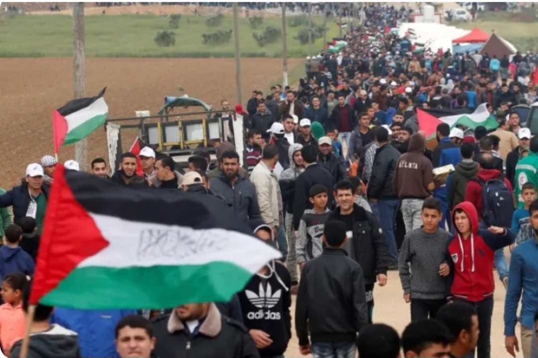 اللجنة المشتركة للاجئين ترفض خطة الاحتلال وتدعو لفتح المعابر فورًا