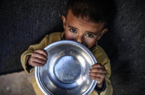 المكتب الإعلامي: الاحتلال يواصل منع المساعدات وتصاعد الكارثة الإنسانية في غزة