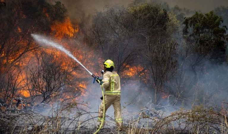 السلطة تُهرول لإطفاء أحراش الاحتلال وتخذل أهل غزة