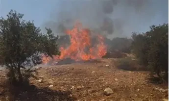 مستوطنون يحرقون المنازل ويعتدون على المواطنين في بلدة بروقين غرب سلفيت.