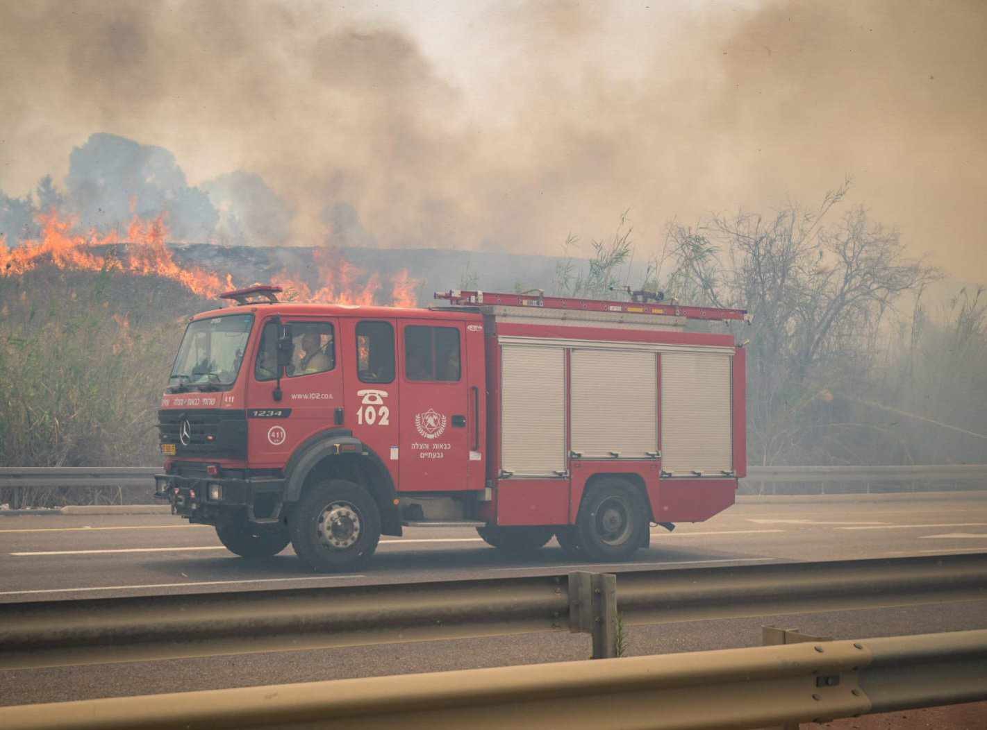 في يوم تأسيس دولته المزعومة.. هكذا التهمت النيران غابات القدس المحتلة