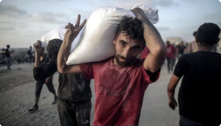 المكتب الإعلامي الحكومي: 549 شهيداً و4,066 مصاباً في شهر بسبب مصائد الموت