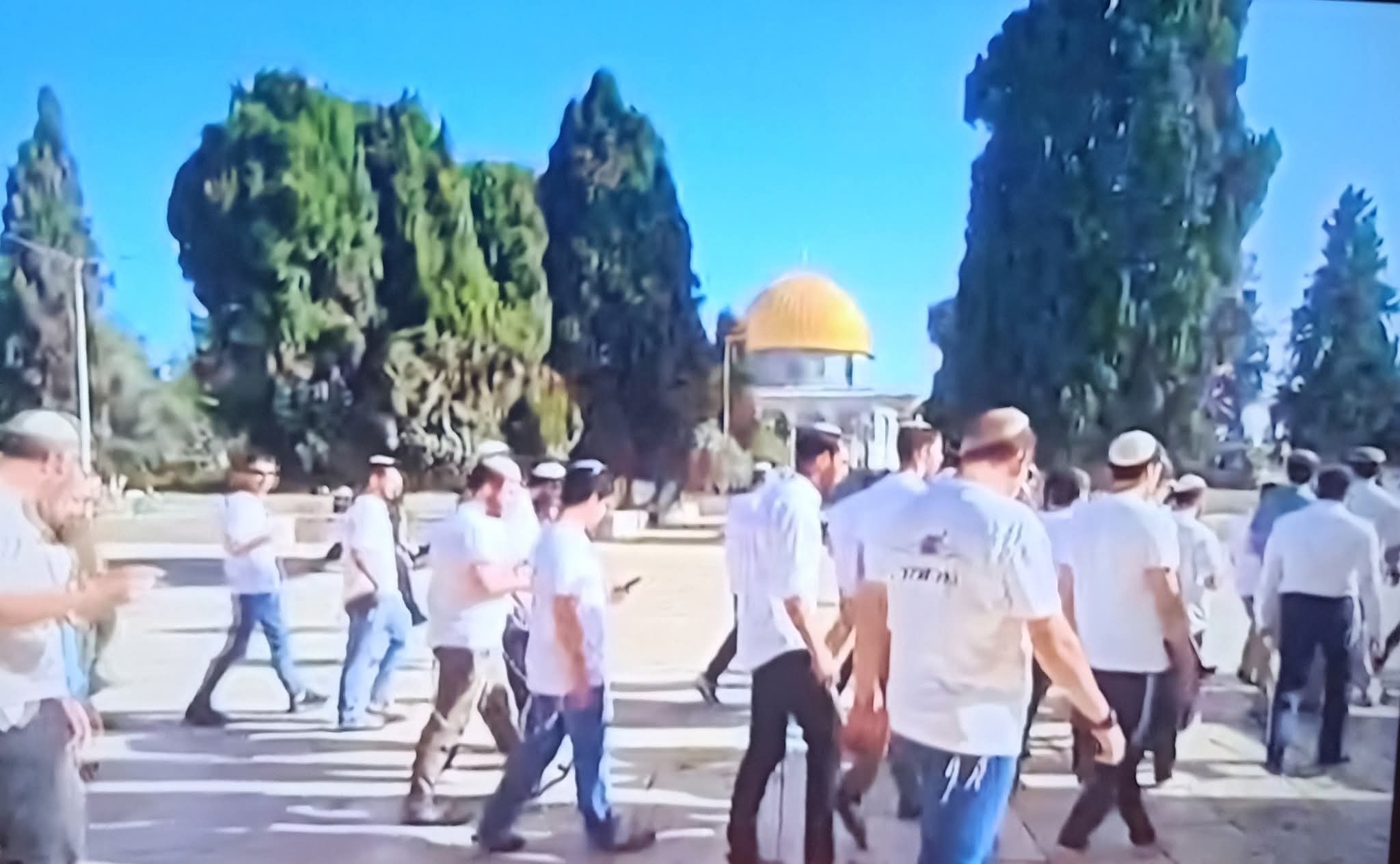 اقتحانات الأقصى