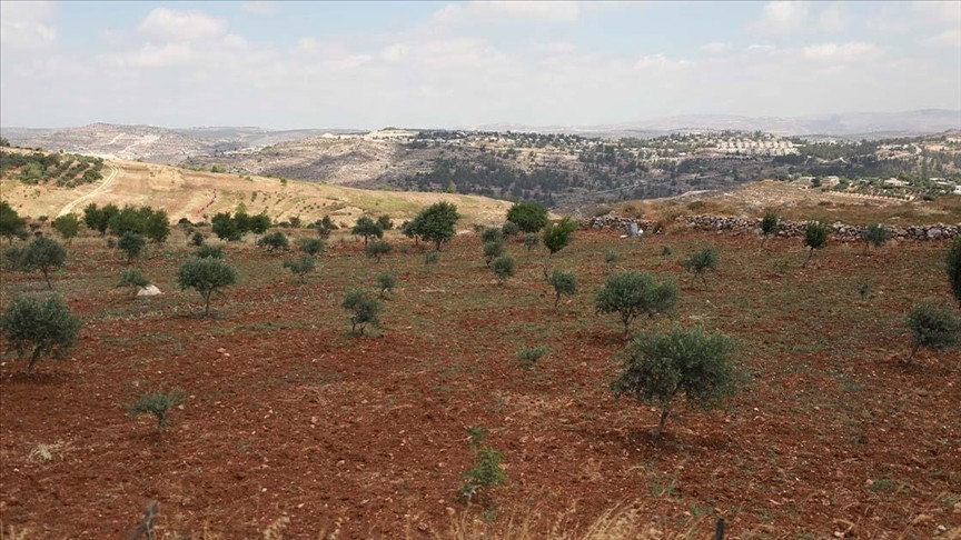 حماس: سياسة الاحتلال بمصادرة الأراضي تأتي في سياق سياسة تطهير مكاني بهدف تفريغ الأرض من أصحابها