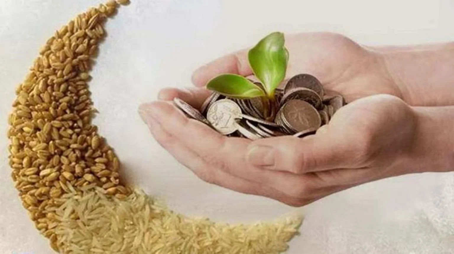 رئيس لجنة الإفتاء بالجامعة الإسلامية: يجوز دفع زكاة الفطر عبر التطبيق البنكي بقيمة 10 شواقل للفرد