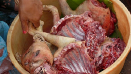 (صورة من الأرشيف)