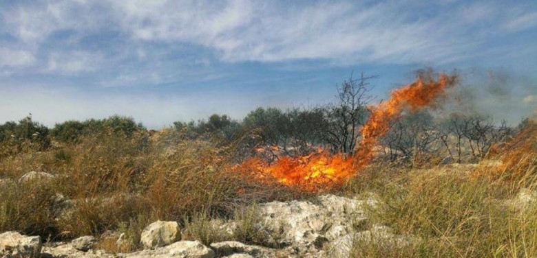 صورة &quot;أرشيفية&quot;