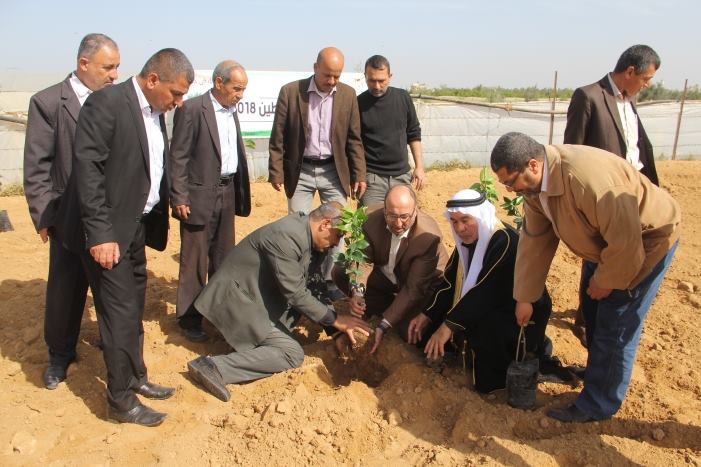 &quot;الزراعة&quot; تحيي يوم الأرض بغرس الأشجار شرق خانيونس