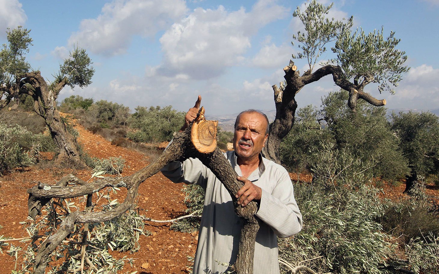 صورة أرشيفية