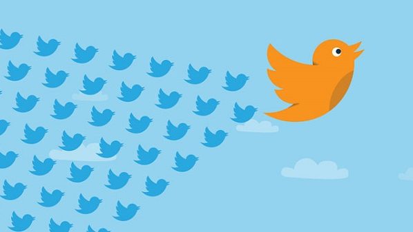 twitter-birds-flight-598x337