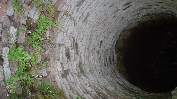 صورة توضيحية