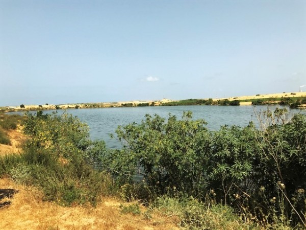 صورة ارشيفية