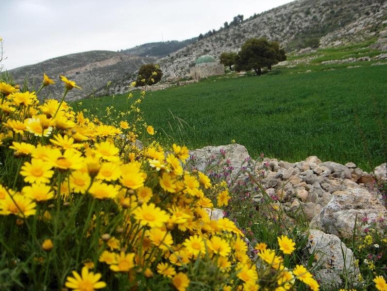 صورة من &quot;الأرشيف&quot;