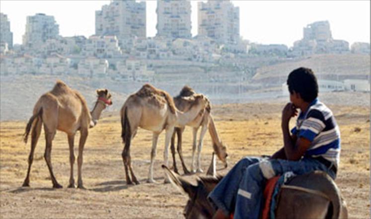 طفل فلسطيني من البدو ينظر إلى توسيع مستوطنة معاليه أدوميم على أراضي القدس 