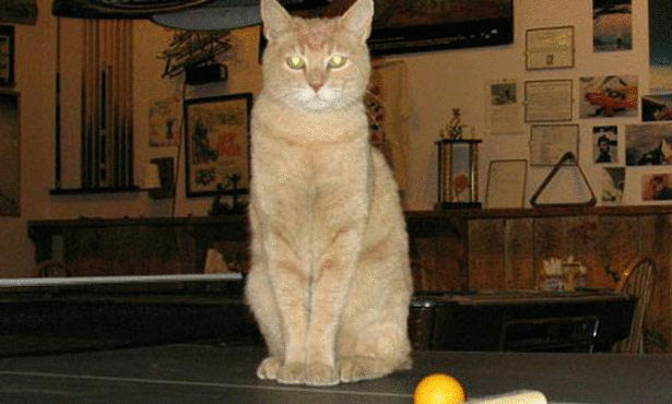 (صورة من الأرشيف)