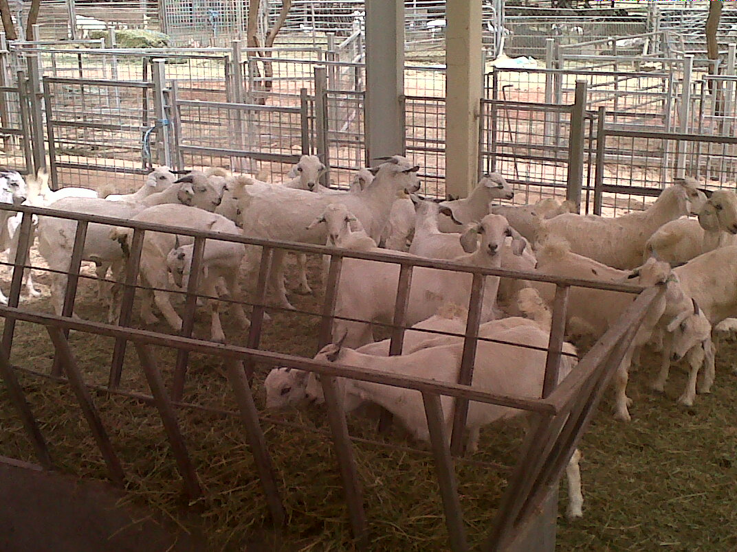 img00205-20110402-0937 (1)