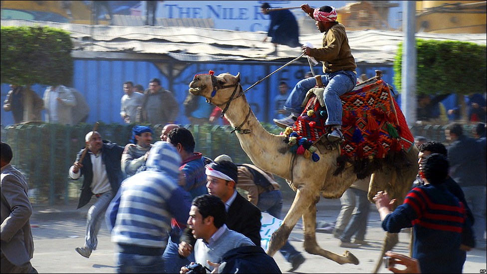 موقعة الجمل (الأرشيف)