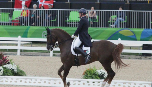 الفارس زميرمان