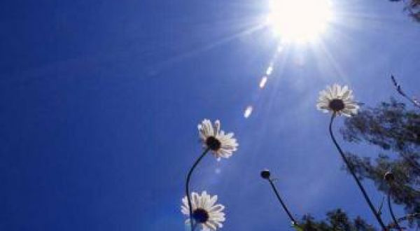 اجواء الطقس 