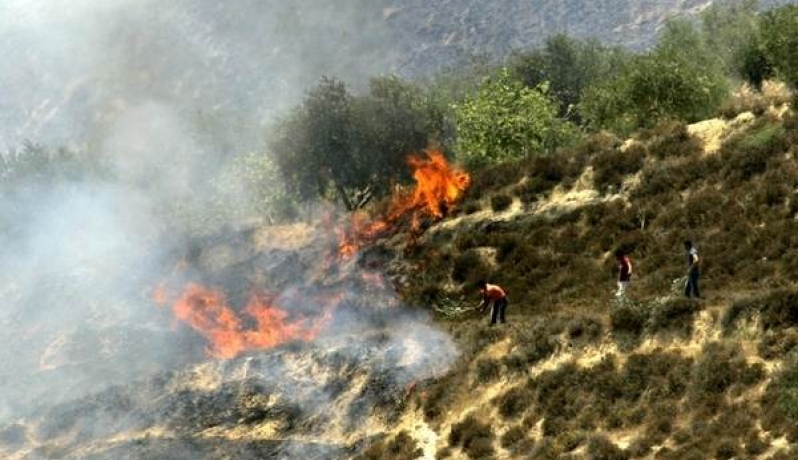 صورة أرشيفية