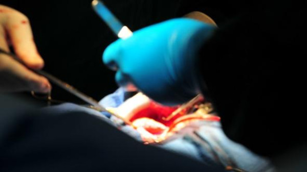 صورة من (الأرشيف)