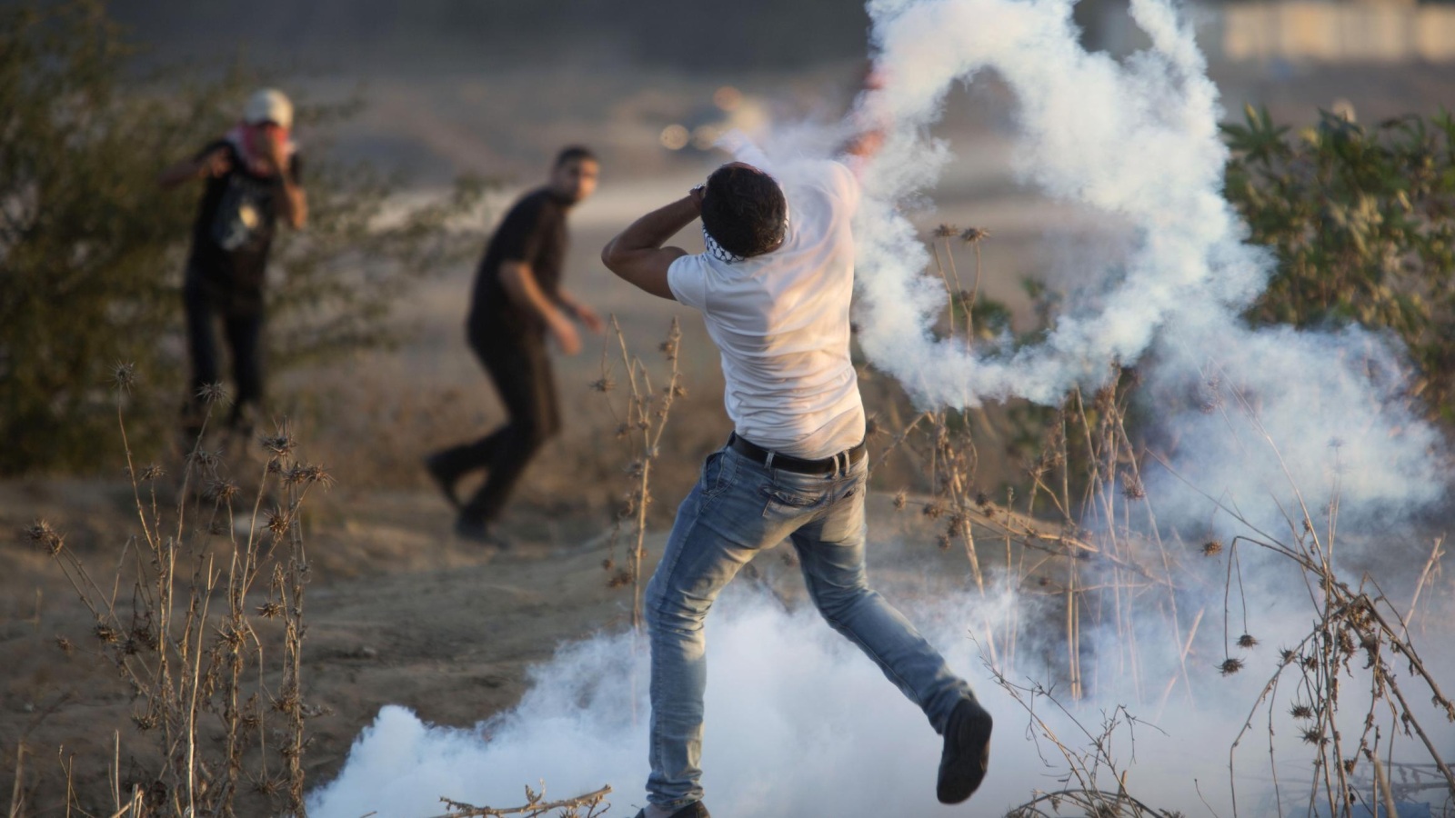 صورة أرشيفية