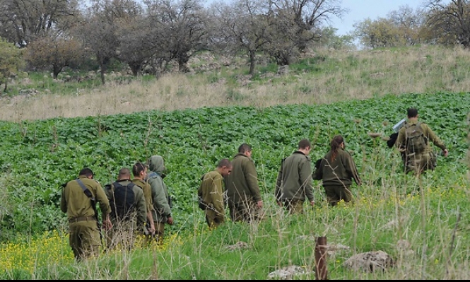 ارشيفية