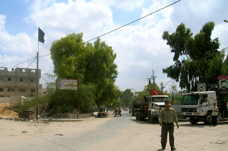 صورة من الارشيف