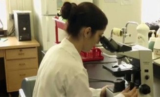  الباحثة اللبنانية في الجامعة الأميركية في بيروت رحاب نصر