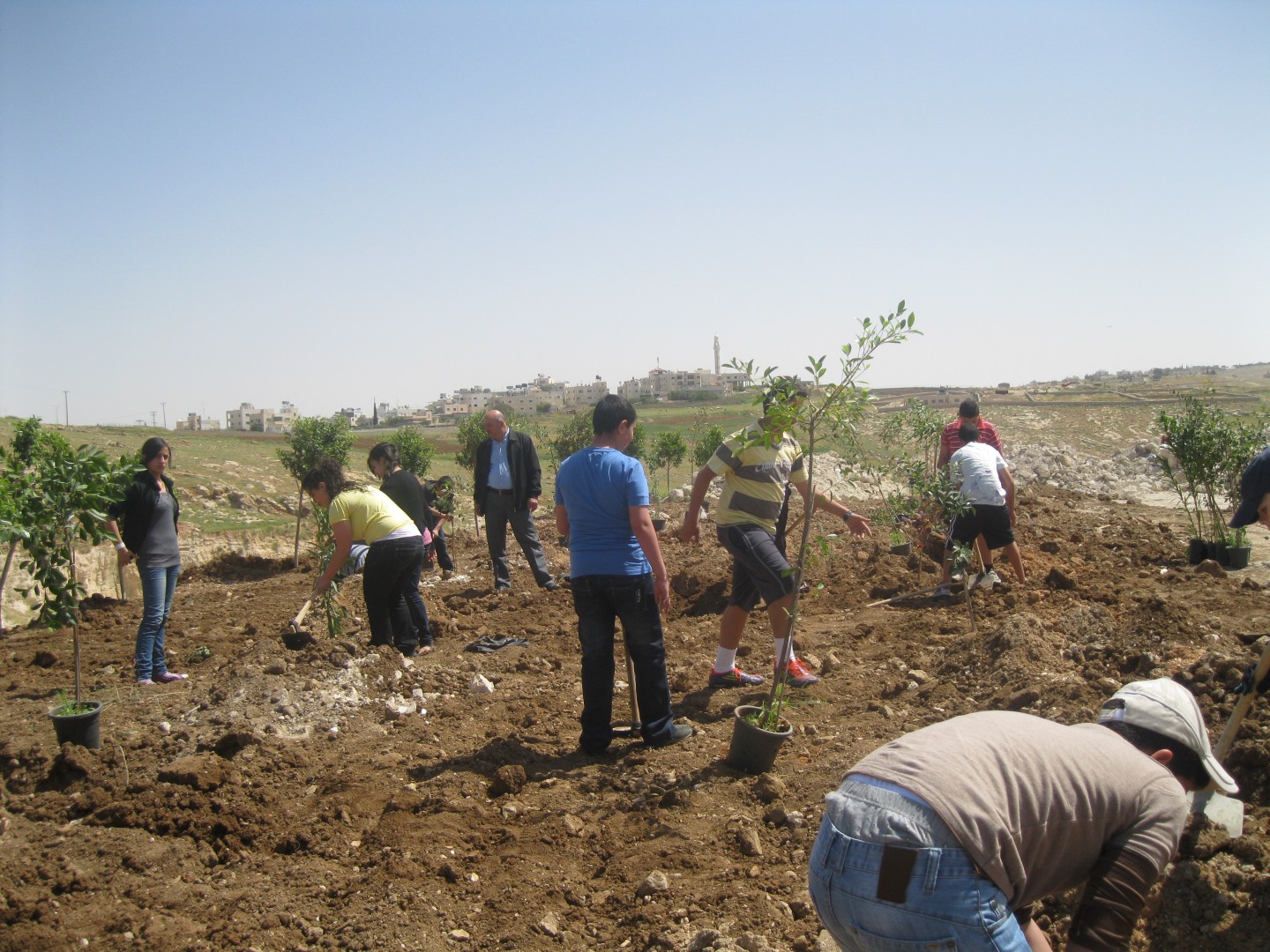 مواطنون يزرعون أراضي مهددة بالاستيطان (الأرشيف)