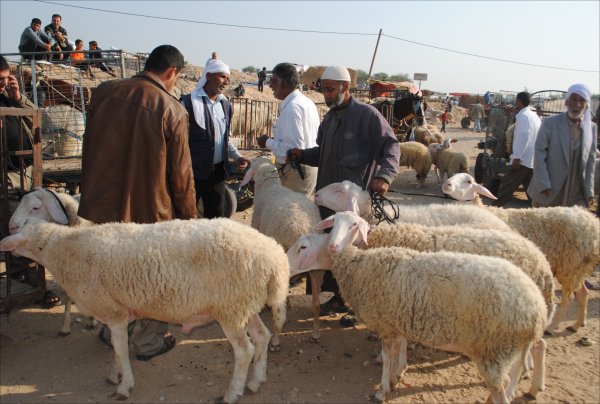 (صورة من الأرشيف)