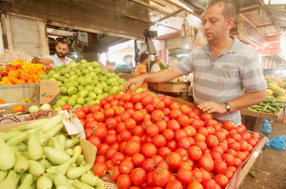 صورة أرشيفية